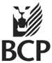 BCP consultants